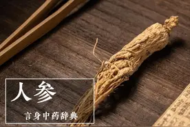 人参（补气药）图片