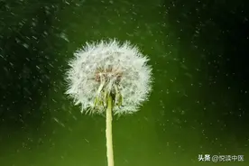 国医大师的治肝8大诀窍图片