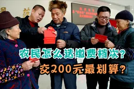 农民交200元养老保险最划算？一算还真是，但还是建议选最高档次图片