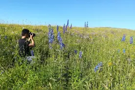 80后小哥关掉健身房与野生植物为伴：发现8个新种拍下2000种花开图片