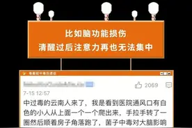 吃云南蘑菇中毒是一种什么体验？太好笑了…一定要看！图片
