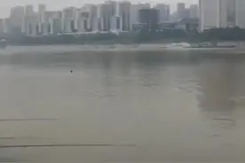 鱼竿被拖下水，重庆男子捞鱼竿溺水身亡，为何会游泳还会溺水？图片
