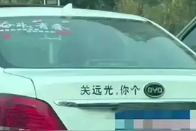 那些被车主玩坏的车标！东风日产车主为什么脸红了？图片