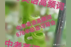 任何版本英语教材都无法直接提高孩子英语成绩，提升必须专项训练图片