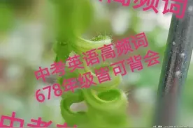 任何版本英语教材都无法直接提高孩子英语成绩，提升必须专项训练图片