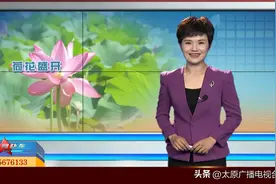 【来太原 享清凉】 湿地公园好景致 荷花映日别样红图片