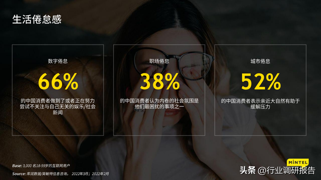 2023ȫƶ챨棨۽йг