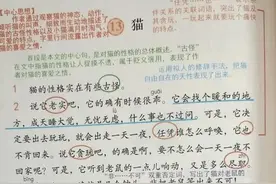 四年级语文下册第13课《猫》课堂笔记及课后习题答案图片
