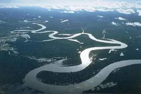 放流10.3万尾珍稀土著鱼！澜沧江野鱼又增加了，最大的鱼儿多大？图片