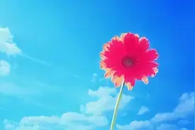 哀思寄语八个字图片