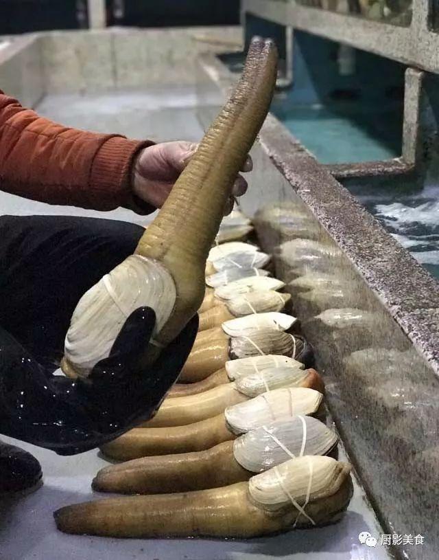 花胶选几级的 花胶等级顺序鱼胶排名大全