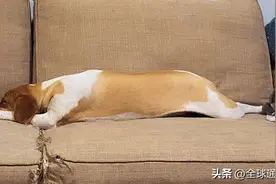 江湖仁义大哥—聂磊为好朋友而战图片