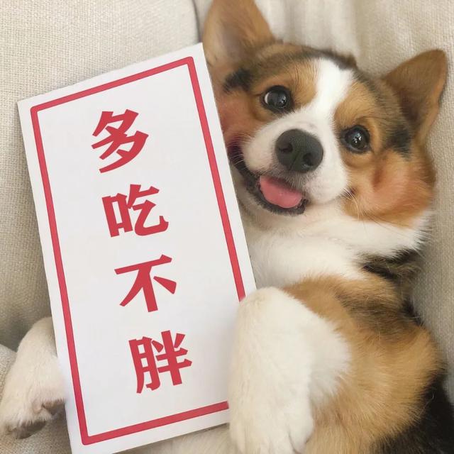 ������Ȧ�Ź����ز� | ����Ȧ����ͼ