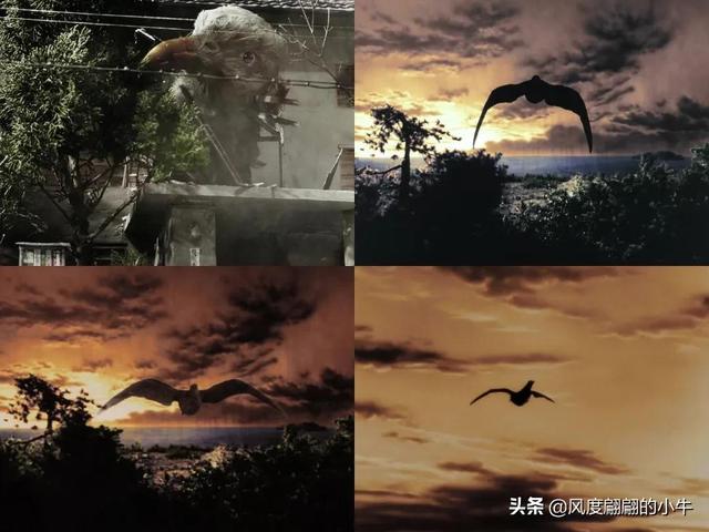 奥特Q怪兽图鉴