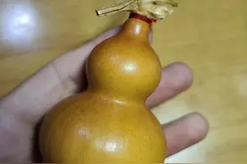 盘葫芦包浆盘实心竹玉化日记第二十天，实心竹泡油实验10图片