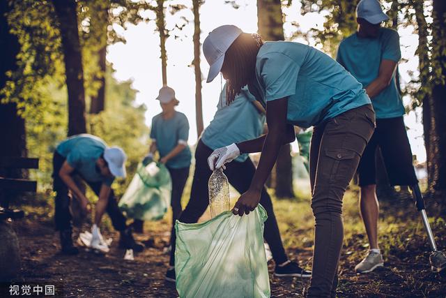 ��������������ա�ͶƱ�����