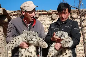 2008年，新疆牧民捡到两只怪异“猫崽”，专家却说养不得图片