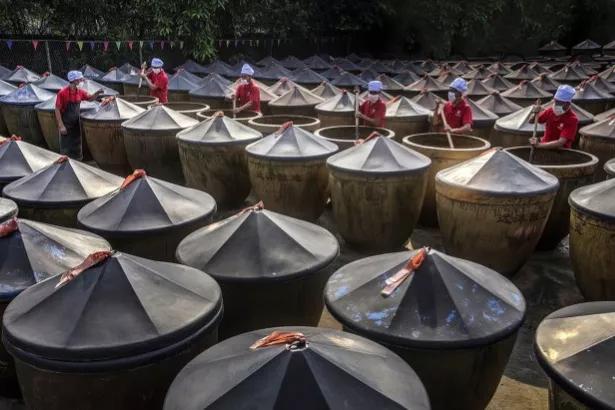 福建4款顶级酱油，经鉴定，由100%非转基因纯豆精制，有你家乡吗