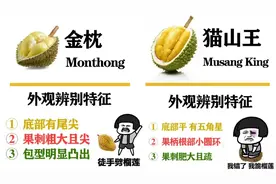 榴莲怎么挑？看这里，多肉又糯香图片