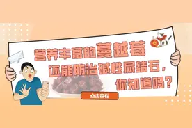 营养丰富的蔓越莓还能防治碱性尿结石，你知道吗？图片