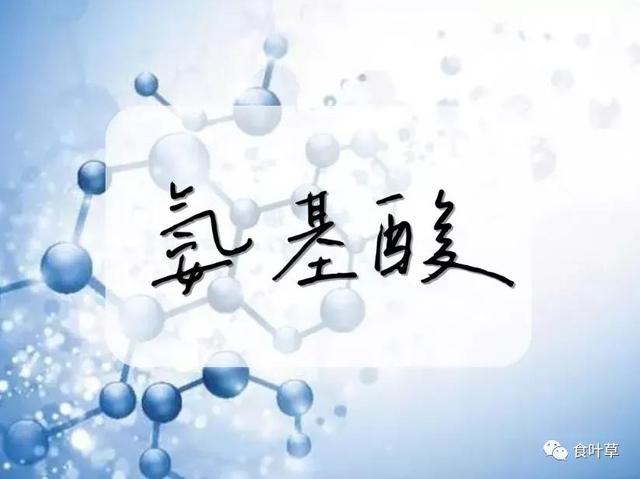 食叶草氨基酸多肽精蛋白与大健康产业