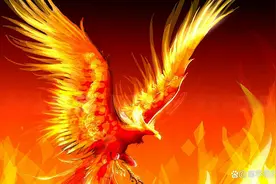 所谓“落魄的凤凰不如鸡”，首先你得做过凤凰，才知自己是凤是鸡图片