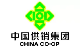 中国供销集团领导班子成员2020年度工资单图片