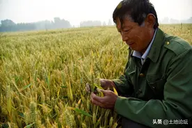 2022年粮食补贴下发最新消息：几月份到手？打到什么卡上？图片