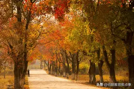 肥城市2021-2022学年度下学期期末教学质量监测六年级语文试题图片