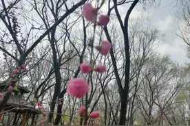 名言警句（二）图片