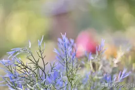 分享一个近期发现的，特别好用的个人管理app：语雀图片