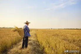 探索农户承包地有偿退出机制！基于两个方面原因，形成2大方式？图片