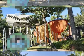 魏晨婚礼现场曝光奢华浪漫，新娘全程哭到不行，伴手礼高达5位数图片