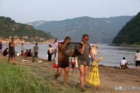 小浪底水库放水，黄河鱼类的劫难来了！为何死鱼无数也要坚持调沙图片