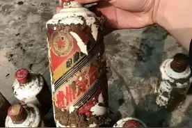 山东老汉15年前埋地下10瓶茅台，现在挖出后，酒友直言：狗都不喝图片