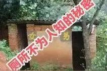 知青往事 厕所里不为人知的秘密：茅房的尴尬，你遇到过吗？图片