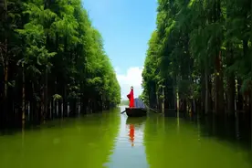 湖北农村版“迪士尼”，耗资4亿历经3年火上央视，热度直逼欢乐谷图片