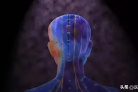 寿命长短，看五脏健康！内脏越“脏”病越多（附清洁处方）图片