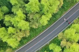 竹筒变网红了？浙江：我靠一根竹子玩出了百亿产值图片