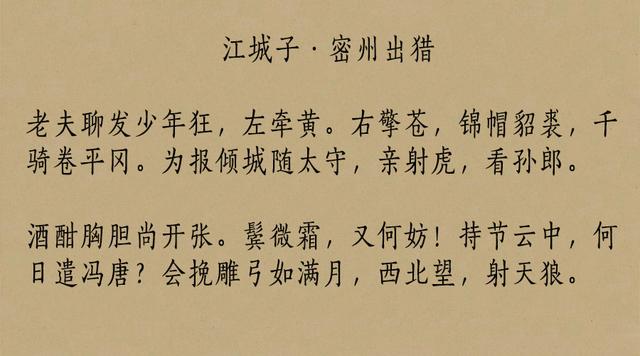 苏轼有哪些诗（苏轼最经典的十首词）