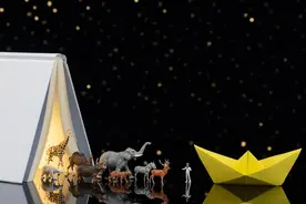 “诺亚方舟”图片