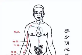 手少阴心经——静心安神，心悸失眠不来侵图片