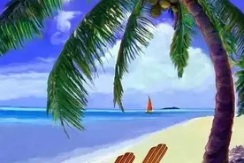 图片分享：海边醉美椰子树图片