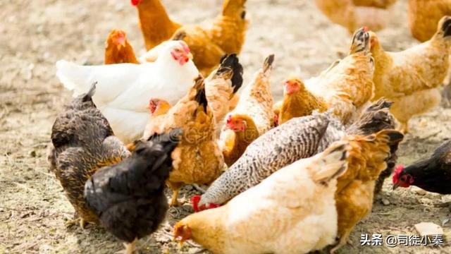 怎样知道配方能不能用？