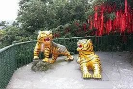 壬寅虎年伊始，揭秘毛主席祖坟所在地“虎歇坪”往事，兼谈虎文化图片