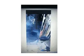 男子电梯内猥琐女子，两次按倒对其进行猥亵，视频曝光图片