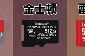 switch存储卡入手建议图片