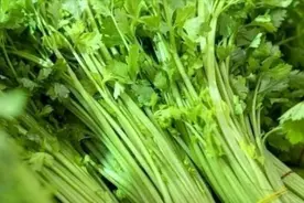 老人卖芹菜获利14元被罚10万？法院判了图片