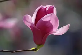 弄堂旧趣录 | 邻里情又回来了图片