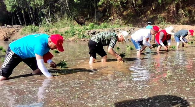 四川省民生研究会新媒体中心-官网